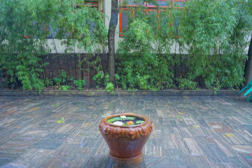 Happiness Guest House 1 Kathmandu Ngoại thất bức ảnh